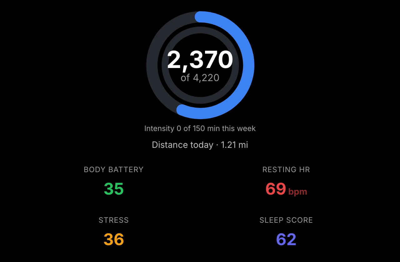 Garmin plugin — Daily summary view